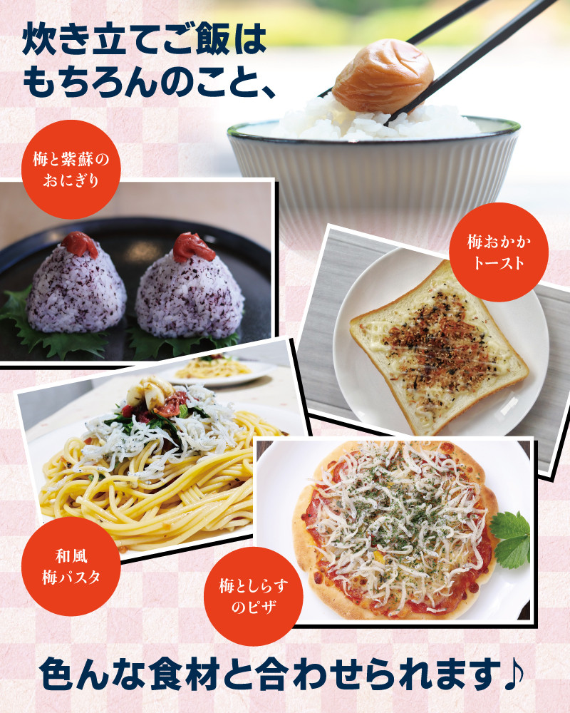 紀州南高梅　かつお【ハチミツ入】 塩分5%（1.5kg）なかやまさんちの梅干 / ウメ 梅 梅干し【nky007-215k】