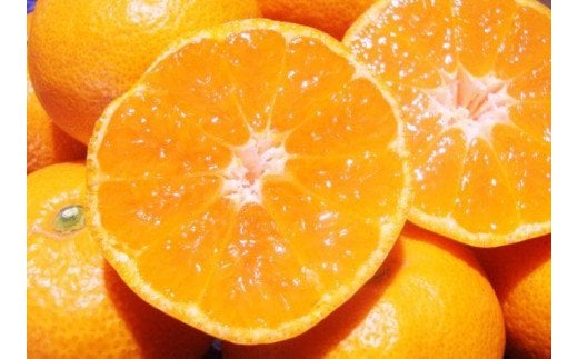 【訳あり】農家直送 有田みかん 約10kg ご家庭用 サイズ混合 ※2026年11月中旬から2027年1月中旬までに順次発送予定（お届け日指定不可）※北海道・沖縄・離島への配送不可　訳ありみかん 温州みかん サイズ混合 訳ありみかん 温州みかん 有機質肥料100% ふるさと納税 柑橘 有田 産地直送 みかん ミカン 【nuk138H】