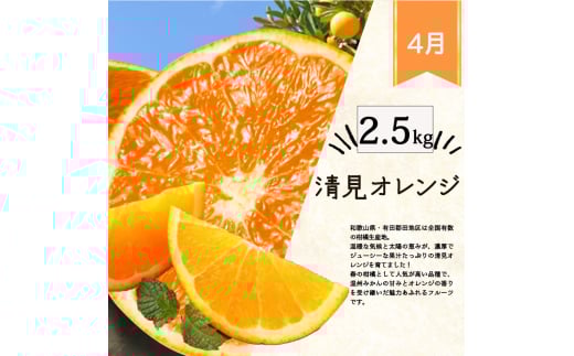 【4か月定期便】旬の柑橘定期便 / みかん ミカン 柑橘 オレンジ 果物 くだもの フルーツ フルーツ定期便 和歌山【tkb416】
