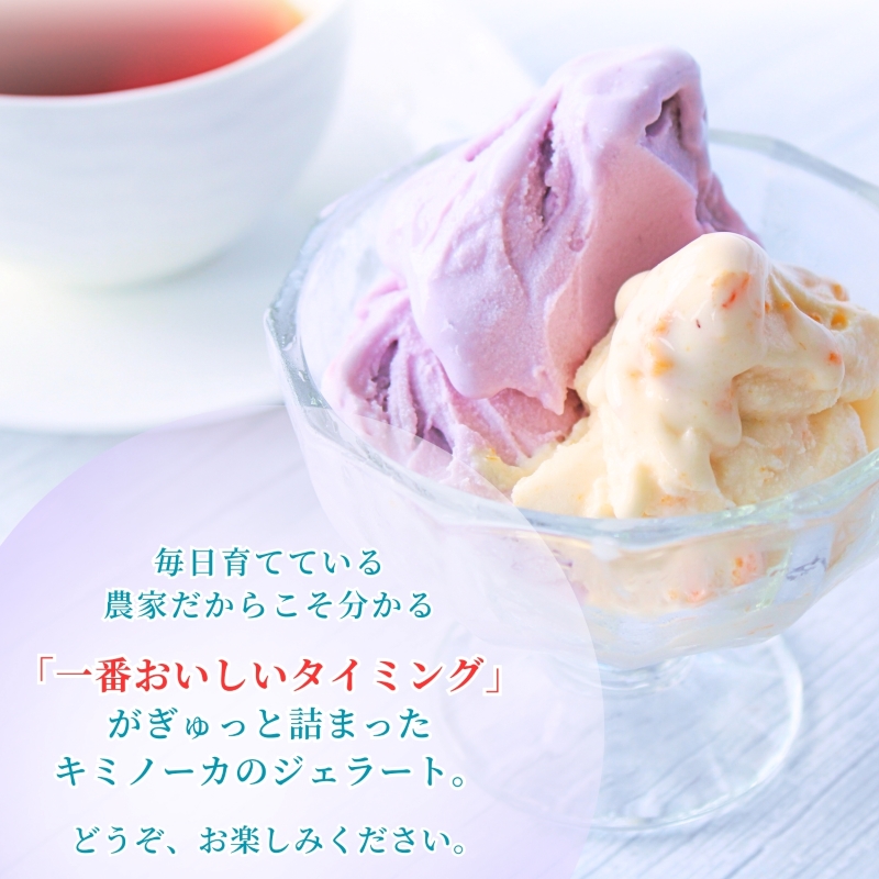 【キミノーカ選りすぐり】ジェラート8個セット【3月発送】 / ジェラート アイス アイスクリーム キミノーカ スイーツ 季節の 野菜 と 果物 使用 送料無料 夏 デザート【kmk001-3】