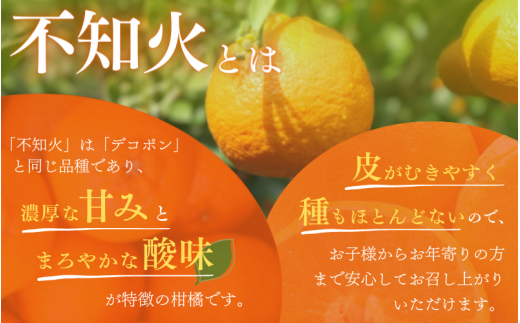 【先行予約】ご家庭用 不知火 5kg※箱込み【M～4Lのサイズおまかせ】【2026年1月下旬から2026年4月上旬頃に順次発送】＜味好農園＞/不知火 デコポン 蜜柑 みかん 柑橘 果物 フルーツ 【agy010F】