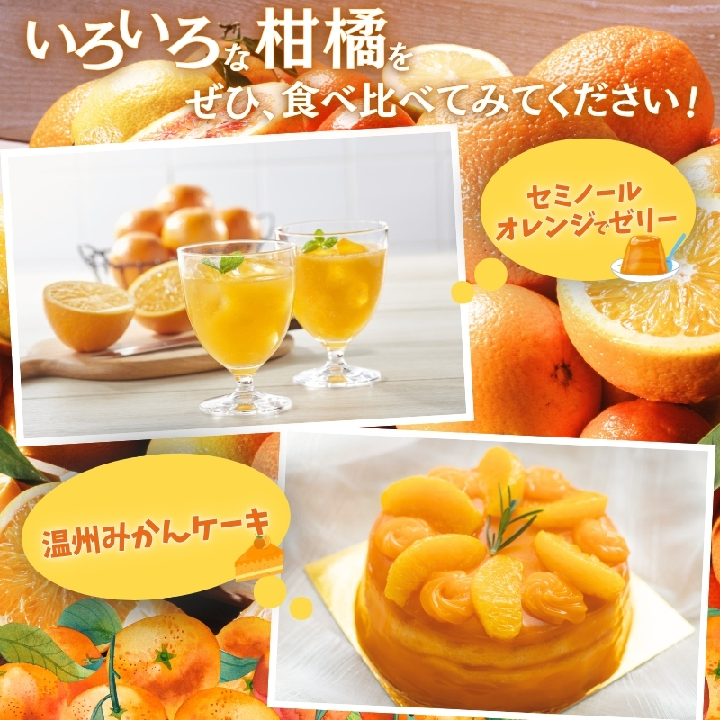 ＜1月より発送＞家庭用 柑橘詰合せ5kg+250g（傷み補償分）【訳あり・わけあり】【有田の春みかん詰め合わせ・フルーツ詰め合せ・オレンジつめあわせ】【光センサー選別】【ikd208A】