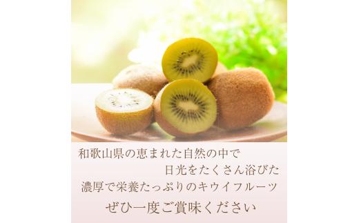 ＜11月より発送＞わけあり キウイ5kg+250g（傷み補償分）【わけあり・訳あり・扁平果】 / 和歌山  フルーツ 果物 くだもの 旬 キウイフルーツ キウイ 栄養たっぷり【ikd712A】