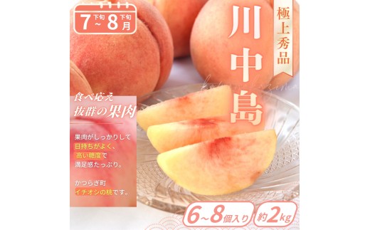 【フルーツ定期便・全6回】品質に自信あり！くしがきの里から直送　厳選した果物を最高のタイミングでお届け♪ / 定期便 桃 もも みかん 柑橘 シャインマスカット マスカット いちご 不知火 はれひめ イチゴ 苺 果物 フルーツ 6回【kgr039】