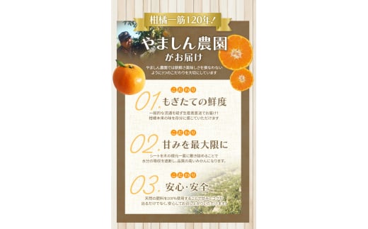 【2026年10月発送予約分】【家庭用】【農家直送】こだわりの有田みかん 約10kg＋250g(傷み補償分)  有機質肥料100%  サイズ混合　【10月発送】※北海道・沖縄・離島配送不可【nuk101-10】