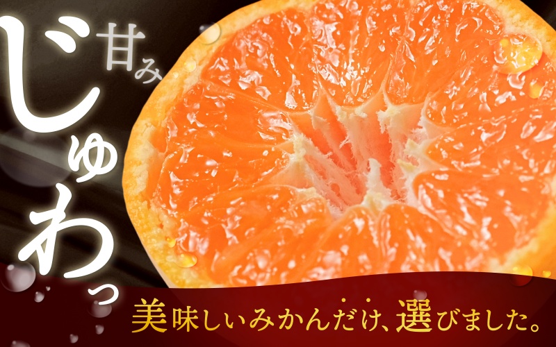 ＼光センサー選別／極 有田みかんプレミアム 約2kg【選りすぐりの上位20％をお届け】2S～Lサイズ 有機質肥料100% ※2026年11月下旬～2027年1月上旬頃に順次発送予定 ※北海道・沖縄・離島への配送不可/ミカン 蜜柑 柑橘 フルーツ くだもの 果物 温州 有田 甘い 高級 贈答品 贈り物 新鮮  【nuk154G】