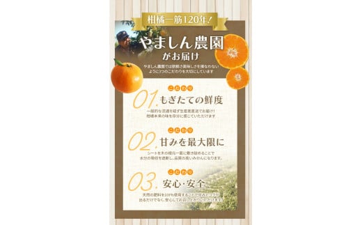 【2026年10月発送予約分】＼光センサー選別／ 【農家直送】【家庭用】こだわりの有田みかん 約2kg 先行予約 有機質肥料100% サイズ混合 【10月発送】みかん ミカン 有田みかん 温州みかん 柑橘 有田 和歌山 ※北海道・沖縄・離島配送不可/みかん ミカン 有田みかん 温州みかん 柑橘 有田 和歌山 産地直送【nuk159-11A】