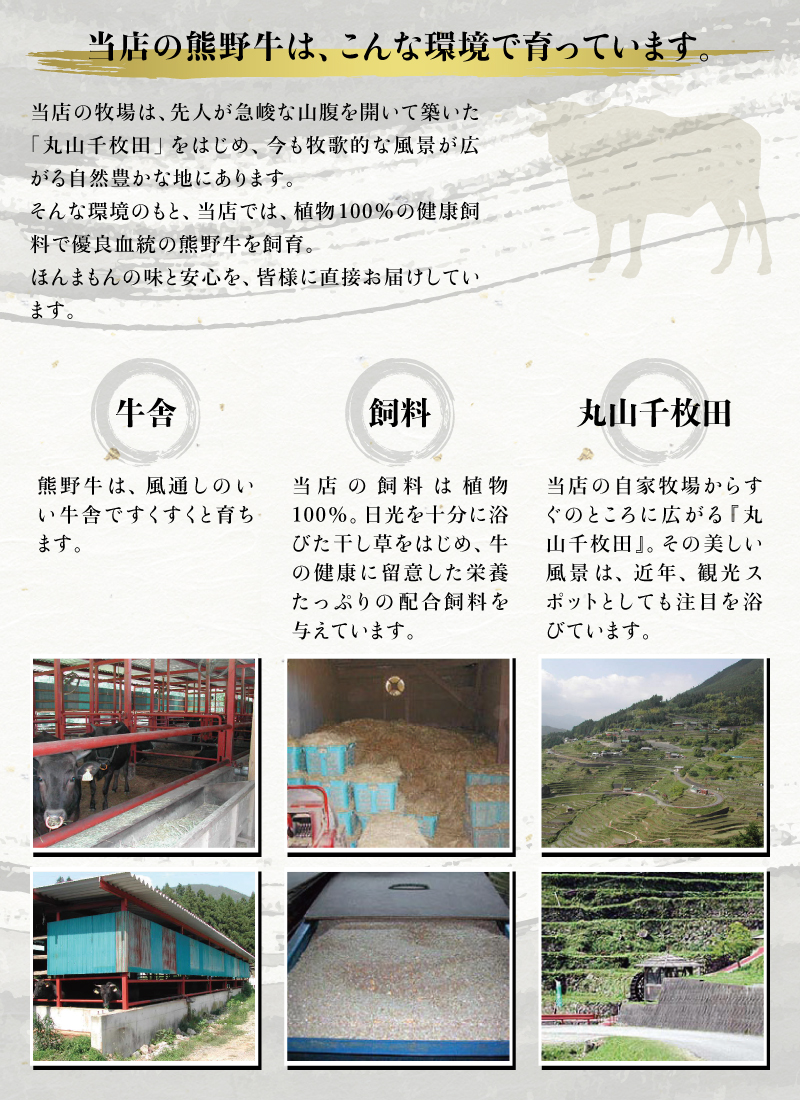  希少和牛 熊野牛 切落し(上) 約450g ＜冷蔵＞/すき焼き しゃぶしゃぶ 牛肉 【sim109A】