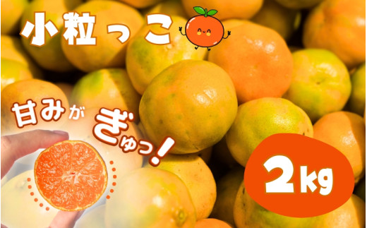お試しにピッタリ！ 温州みかん 「小粒っこ」 2kg※箱込み ※秀優混合 【2S～3Sサイズおまかせ】【2025年10月中旬～2026年1月下旬までに順次発送】(極早生・早生・中生・晩稲)＜味好農園＞/ 温州 みかん 小玉 蜜柑 柑橘 みかん 極早生 早生 中生 晩稲 小粒 果物 フルーツ 【agy025A】