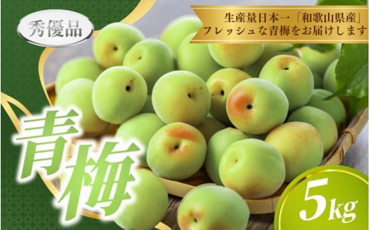 【先行予約】青梅  5kg ※秀優品　※サイズ混合 【2026年6月～順次発送予定】＜味好農園＞/ 梅 青梅 梅干 梅干し 梅酒 お酒 シロップ ジュース【agy030】