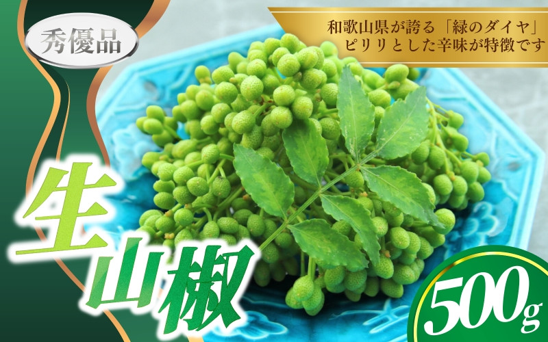 【先行予約】ぶどう生山椒 500g【2026年5月中に順次発送予定】＜味好農園＞/ 山椒 さんしょう 生山椒 生さんしょう 調味料 スパイス 香辛料 山椒の実 山椒の実生 実【agy032】