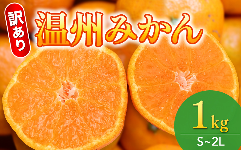  【和歌山県産】訳あり 温州みかん 1kg お試しに♪ (早生・中生・晩稲)【S～2Lサイズおまかせ】【2025年10月中旬～2026年1月中旬頃までに順次発送】＜味好農園＞/ 「おてんば娘」みかん 蜜柑 柑橘 温州みかん 訳あり 果物 フルーツ 甘い 果汁溢れる【agy037】