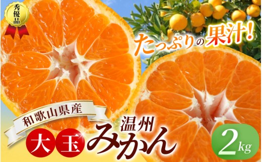 ボリューム満点！大玉  温州みかん 2kg  ※秀優混合【2L～3Lサイズ】【2025年12月から2026年２月下旬頃に順次発送】＜味好農園＞/ 温州 蜜柑 みかん 柑橘 果物 フルーツ ミカン 甘い 美味しい【agy042】