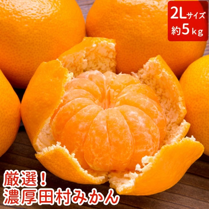 【和歌山特産品】【プレミアムブランド】絶品!濃厚田村みかん 〔2Lサイズ〕 秀品 約5kg ※2024年11月下旬～12月下旬頃に順次発送予定 ※北海道・沖縄・離島への配送不可【ard218】