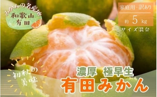 【初秋の美味】有田育ちのご家庭用訳ありゆら早生有田みかん 5kg +200g(傷み補償分)【サイズ混合】【2026年10月中旬～11月上旬頃に順次発送予定】※北海道・沖縄・離島配送不可 / みかん 果物 くだもの フルーツ 有田みかん 柑橘【ard237A】