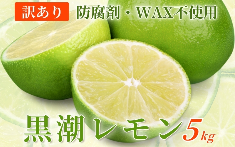 ＜先行予約＞わけあり レモン5kg+250g（傷み補償分）【和歌山有田産】【防腐剤・WAX不使用、安心の国産レモン】【わけあり・訳ありレモン】【ikd031C】