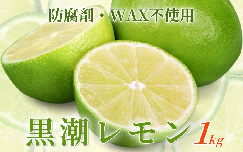 レモン1kg+250g（傷み補償分）【和歌山有田産】【防腐剤・WAX不使用、安心の国産レモン】※北海道・沖縄・離島への配送不可【ikd134B】