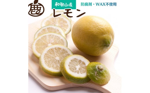 レモン2.5kg+250g（傷み補償分）【和歌山有田産】【防腐剤・WAX不使用、安心の国産レモン】 ※北海道・沖縄・離島への配送不可 /レモン れもん 柑橘 フルーツ 果物 果実 【ikd136B】