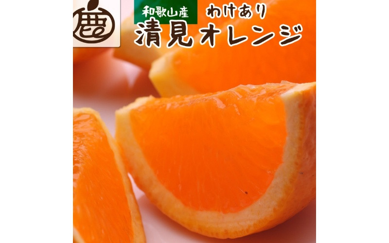 ＜2月より発送＞家庭用 清見1kg+250g（傷み補償分）【光センサー食頃出荷】【樹上完熟きよみオレンジ・清見タンゴール・清美】【わけあり・訳あり】【ikd164B】