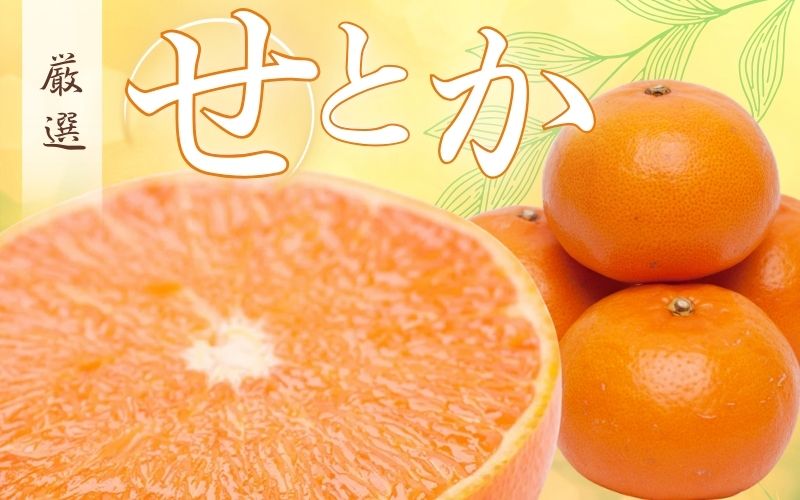 ＜2月より発送＞厳選 せとか5kg+250g（傷み補償分）【柑橘・春みかんの王様】【光センサー選果・食べ頃出荷】【ikd205C】