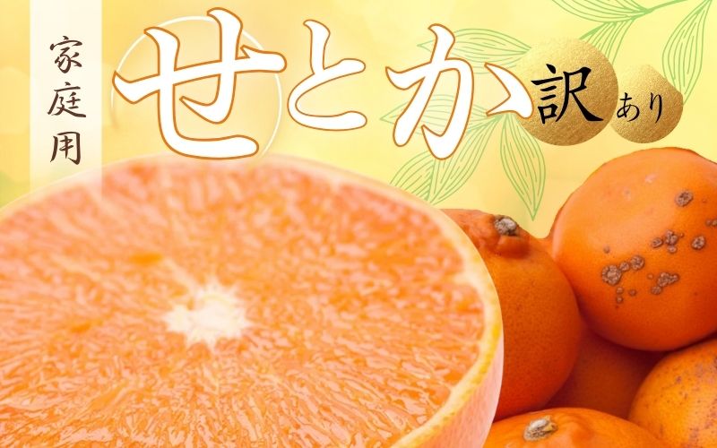 ＜2月より発送＞家庭用 せとか5kg+250g（傷み補償分）【柑橘・春みかんの王様】【わけあり・訳あり】【光センサー選果・食べ頃出荷】【ikd206C】