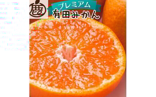 【先行予約】プレミアム有田みかん1kg+250g（傷み補償分）11月より発送(完熟)/ みかん ミカン 有田みかん 柑橘 フルーツ 果物 和歌山 オレンジ【ikd214】