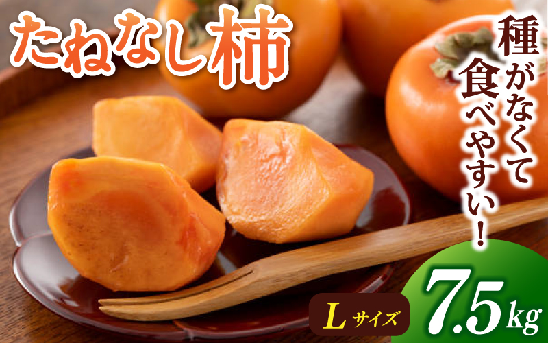 【先行予約】【JAながみね】Lサイズ たねなし柿 約7.5kg 【2024年9月下旬～10月下旬に順次発送致します。】  種なし 種無し タネなし 柿 かき カキ フルーツ 果物 人気 旬 秋の味覚【jan001】