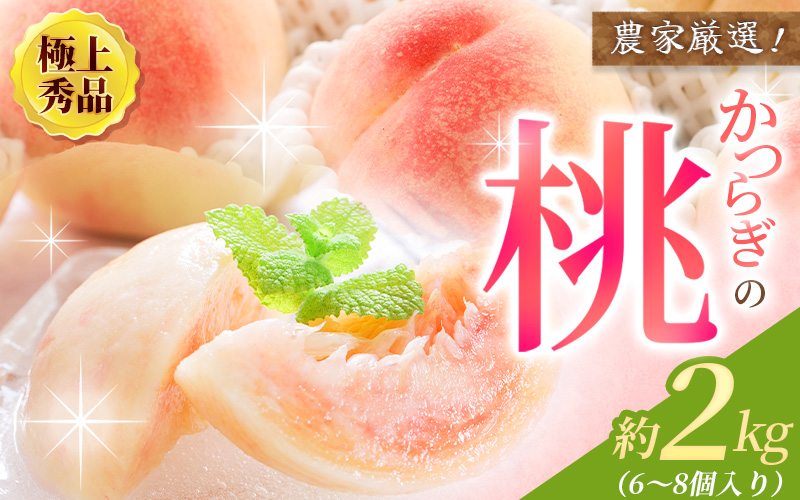 【先行予約】【厳選】あふれる果汁で口いっぱい！ 和歌山県産 桃 約2kg（6個~9個） 2026年6月末頃～2026年8月末頃に順次発送予定（お届け日指定不可）/ 和歌山 桃 モモ フルーツ もも 白桃 果物 くだもの【kgr001A】