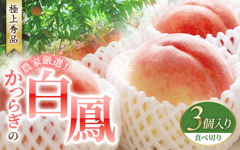 【予約受付】桃の王様 白鳳 <特秀品> うれしい食べきり容量 3玉 2026年6月末頃～2026年7月末頃に順次発送予定（お届け日指定不可）/ 桃 もも 白鳳 フルーツ 果物 くだもの 【kgr010】