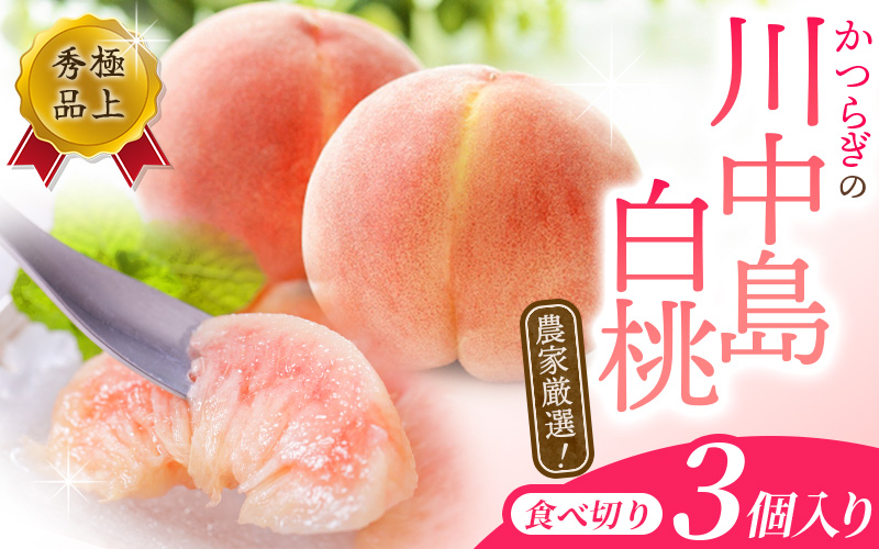 【予約受付】こだわり農家厳選 川中島白桃 和歌山産の桃 <大玉特秀品> 嬉しい食べきり容量 3玉 2026年7月末頃～2026年8月末頃に順次発送予定（お届け日指定不可）/ 桃 もも 川中島 白桃 フルーツ 果物 くだもの 【kgr012】