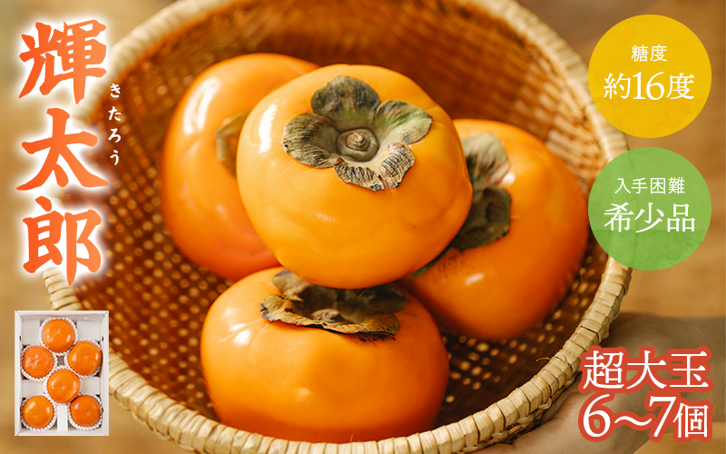 【先行予約】希少な柿【輝太郎】大玉6個～7個 コクのある甘さ！こだわり農家厳選【2026年9月末～10月末頃に順次発送予定】【kgr018】