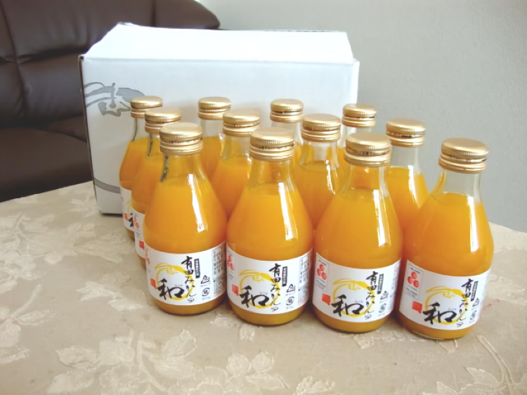 有田みかんの和（なごみ）180ml×12本/生搾り みかん みかんジュース 有田みかん 【kjk111】