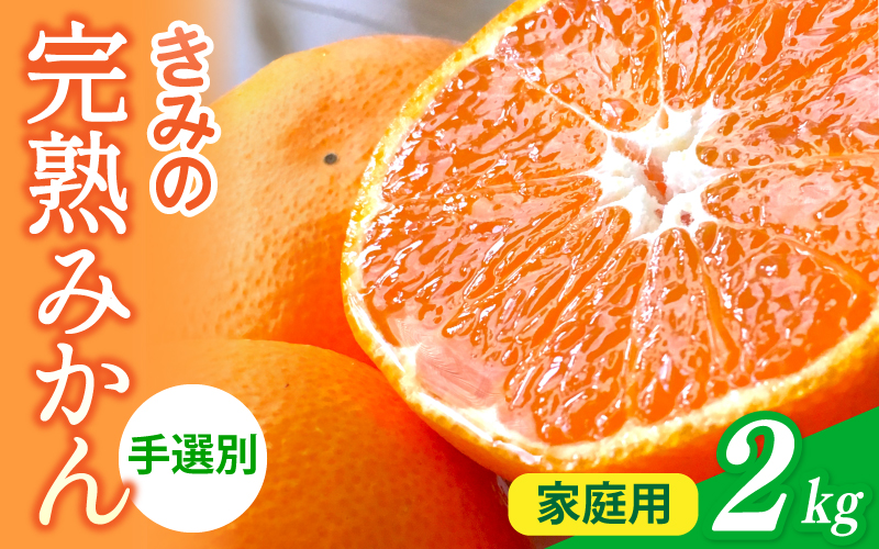 あま～い！ カツオの有機肥料が味の決め手！ 「きみの完熟ミカン」 約2kg (15~25個程度) サイズ混合 2S~L ご家庭用(秀優混合) 紀美野町産 /みかん ミカン 柑橘 和歌山県 有機 手選別 【kmf010A】