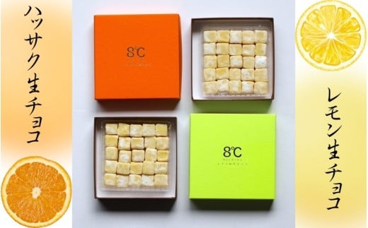 フルーツ生チョコ2種セット/生チョコ デザート 八朔  手作り 柑橘 果汁 【kmf013】