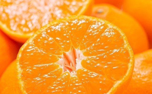 【予約受付】ブランド有田みかん　秀品5キロ サイズお任せ　※2026年10月中旬～2027年1月中旬頃に順次発送予定（お届け日指定不可）　紀伊国屋文左衛門本舗/みかん蜜柑柑橘有田みかん果物フルーツ  【kmtb140C】