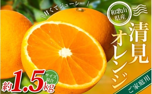 【ご家庭用】手選別 清見オレンジ 約1.5kg 和歌山県産 2S~2Lサイズ混合※2026年2月上旬～5月中旬頃に順次発送【mrmt021A】