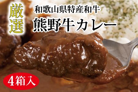 特選黒毛和牛 熊野牛カレー ４箱 【mtf102】
