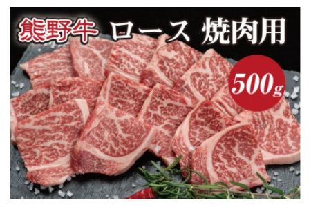特選黒毛和牛 熊野牛 焼肉用ロース　約500g / お肉 肉 和牛 和歌山 熊野 黒毛和牛 ロース 焼肉 【mtf410A】