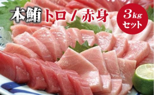 本マグロ（養殖）トロ＆赤身セット 3kg 【１ヶ月以内に順次発送)】/ 高級 クロマグロ  中トロ 中とろ まぐろ マグロ 鮪 刺身 赤身 柵 じゃばらまぐろ 本マグロ 本鮪【nks112B】