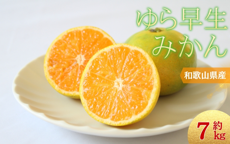 ＼光センサー選別／＼農家直送／甘くて濃厚！希少品種 ご家庭用 ゆら早生みかん約7kg　サイズ混合【10月上旬より発送】希少品種《有機質肥料100％》 ※2026年10月上旬より順次発送予定【nuk002E】