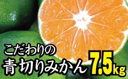  【2026年秋頃発送予約分】【農家直送】こだわりの青切りみかん 約7.5kg サイズお任せ 有機質肥料100%　※2026年9月下旬より順次発送予定（お届け日指定不可）/ミカン 蜜柑 柑橘 フルーツ くだもの 果物 【nuk107E】