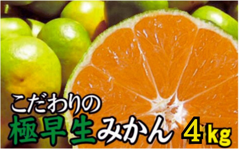 【2026年秋頃発送予約分】【農家直送】こだわりの極早生みかん 約4kg【数量限定】 有機質肥料100% サイズ混合 ※2026年9月下旬より順次発送予定（お届け日指定不可）【nuk171A】