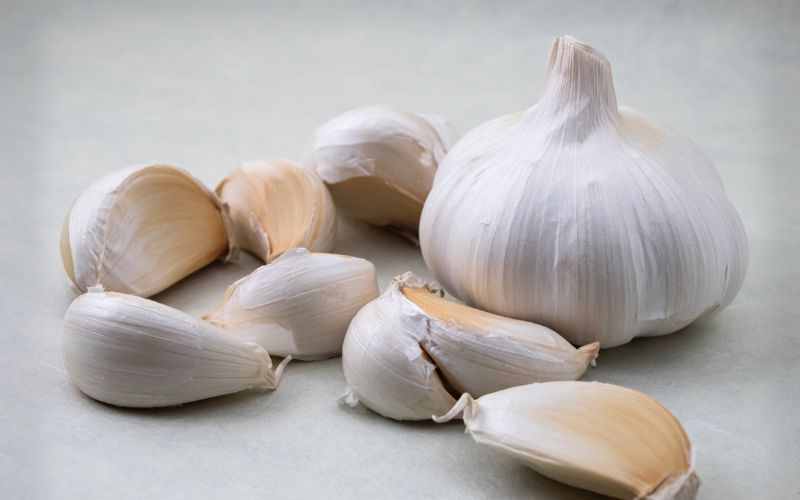 由良町産にんにく 優品 約1.8kg (900g×2) M～Ｌサイズ  ※2025年4月下旬～5月上旬頃順次発送予定 / にんにく ニンニク 野菜 やさい 食品【sml123】