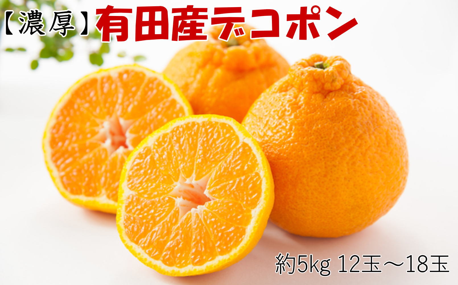 【お味濃厚】紀州有田産の大玉デコポン約5kg（12玉～18玉入り・青秀以上） ※2026年1月中旬～2026年3月中旬頃順次発送 / みかん ミカン 果物 くだもの オレンジ デコポン 不知火 フルーツ 果物 【tec811B】