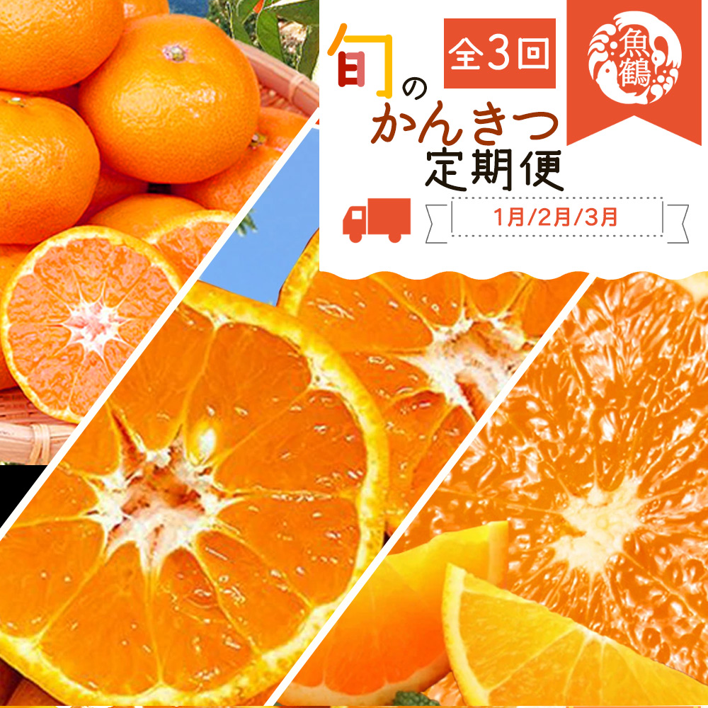 【3か月定期便】人気のみかんを集めた！旬の柑橘定期便/蜜柑みかん柑橘オレンジ清見田村みかん定期便フルーツ果物 【tkb111】