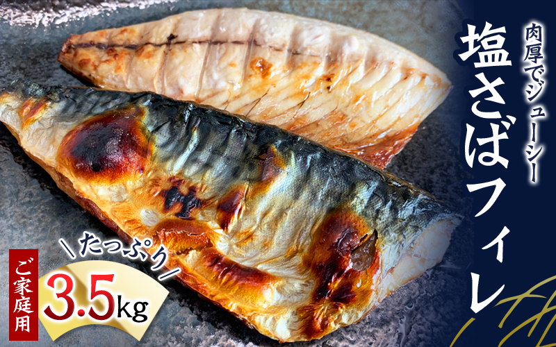 【全3回】大容量！ ご家庭用 塩さばフィレをたっぷりお届け定期便 / さば サバ 鯖 フィレ 切り身 切身 魚 海鮮 焼き魚 おかず 定期便【tkb354】