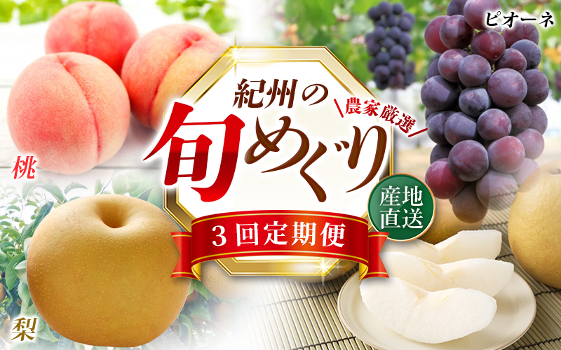 【全3回】紀州和歌山産旬のフルーツ定期便 (桃・梨・ピオーネ) / フルーツ 柑橘 和歌山 もも モモ 梨 なし ぶどう 葡萄 シャインマスカット ピオーネ 紫苑 【tkb424】