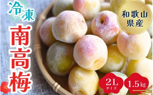  紀美野町産 冷凍南高梅 ２Lサイズ1.5キロ /南高梅 梅 うめ 冷凍 和歌山 梅ジャム 梅酒 梅シロップ 大粒【twn003C】