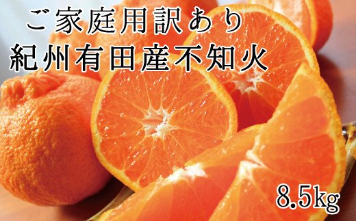  【ご家庭用訳あり】紀州有田産不知火(しらぬひ) 約8.5kg【予約】　※2026年2月中旬頃〜2026年3月中旬頃に順次発送予定(お届け日指定不可) / 果物 フルーツ くだもの ミカン 不知火 デコポン 【uot507A】