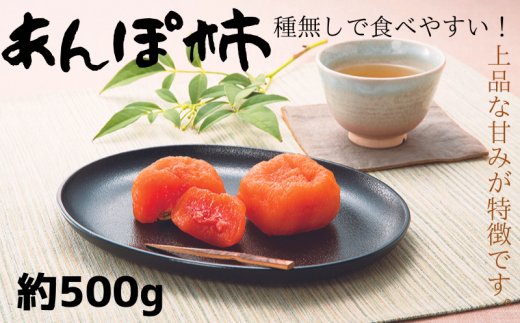  紀州かつらぎ山のあんぽ柿　化粧箱入　約500g　※2026年1月中旬頃に順次発送予定（お届け日指定不可） / 柿 果物 フルーツ くだもの 先行予約 【uot736】